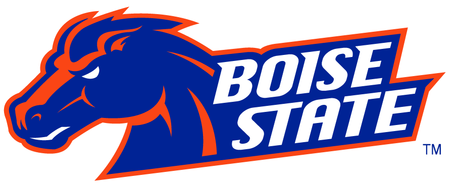 Boise State Broncos 2002-2012 Secondary Logo v21 t shirts iron on transfers